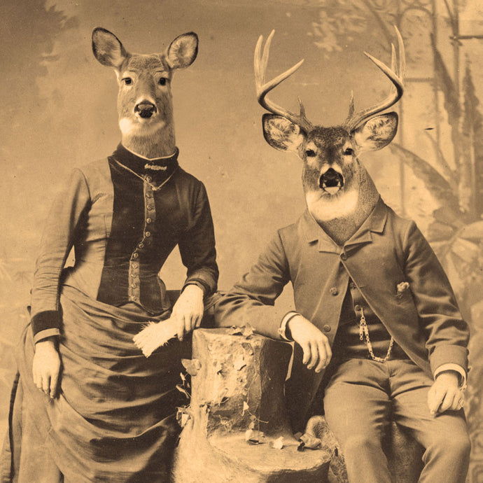Reborn Print - The Buckshots